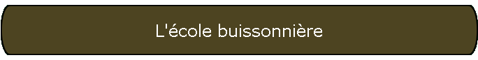 L'�cole buissonni�re