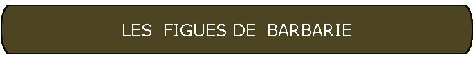 LES  FIGUES DE  BARBARIE