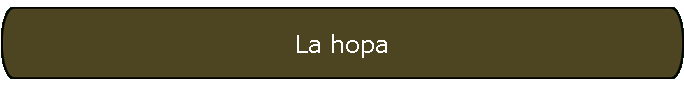 La hopa