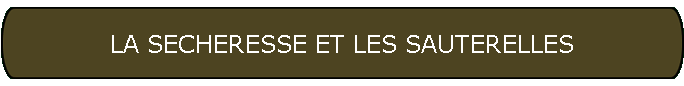 LA SECHERESSE ET LES SAUTERELLES