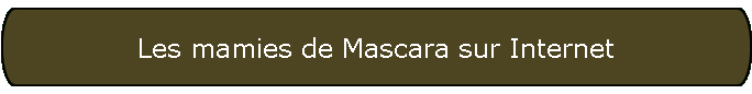 Les mamies de Mascara sur Internet