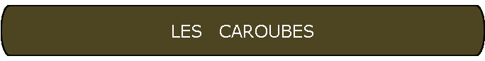 LES   CAROUBES