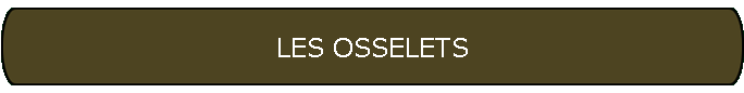 LES OSSELETS