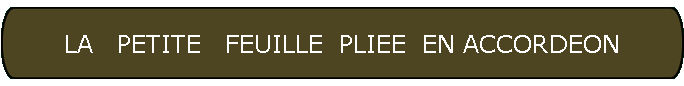 LA   PETITE   FEUILLE  PLIEE  EN ACCORDEON